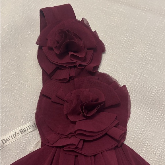 David's Bridal One-Shoulder Burgundy Bridesmaid Formal Dress SZ 20 Plus Size - Picture 12 of 15